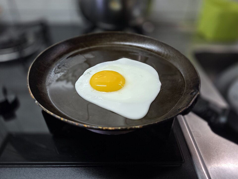 egg