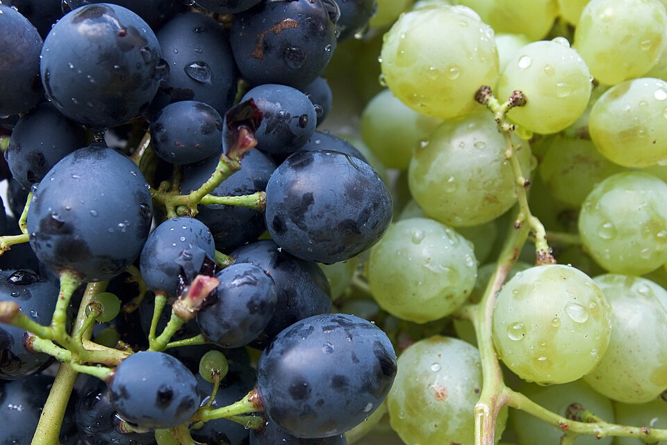 grapes