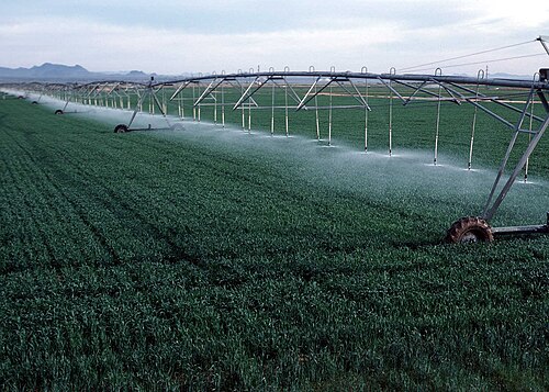 agricultural