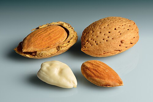 almond