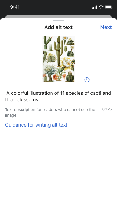 alt text