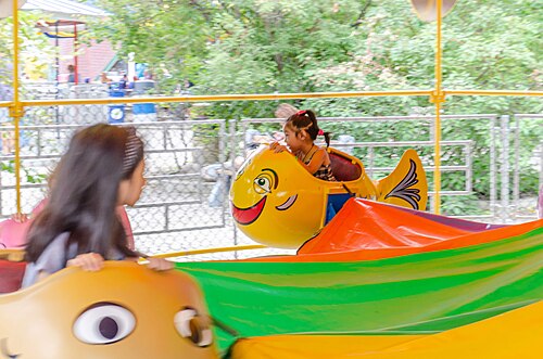 amusement