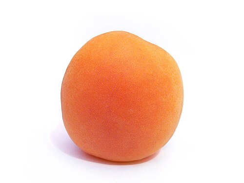apricot