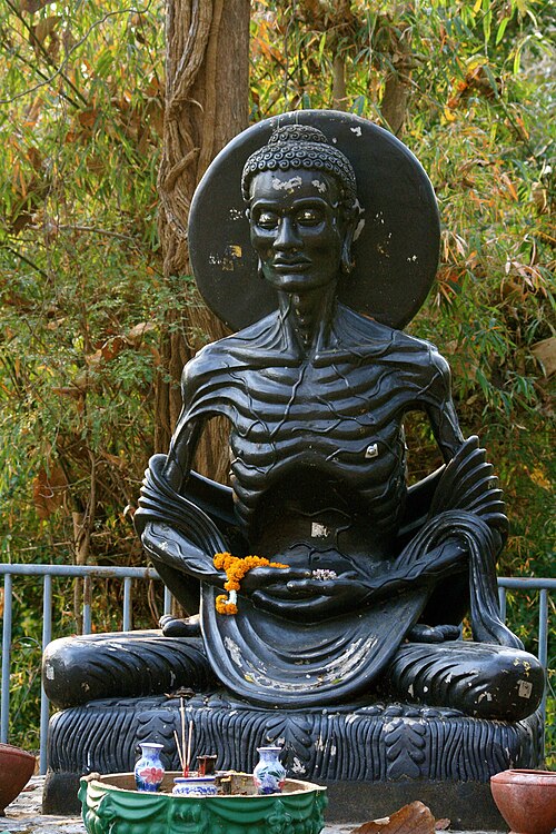 ascetic