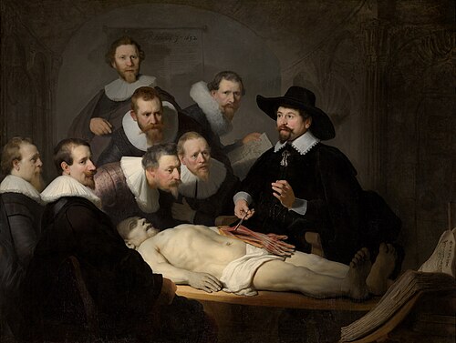 autopsy