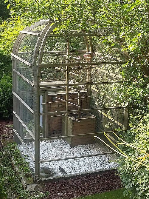 aviary