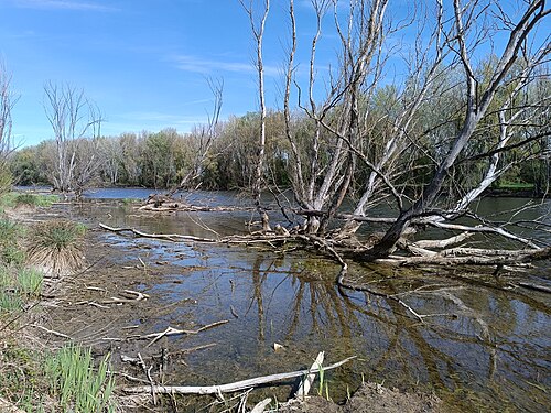 backwater
