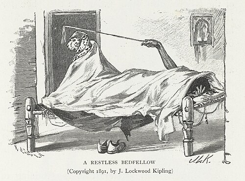 bedfellow