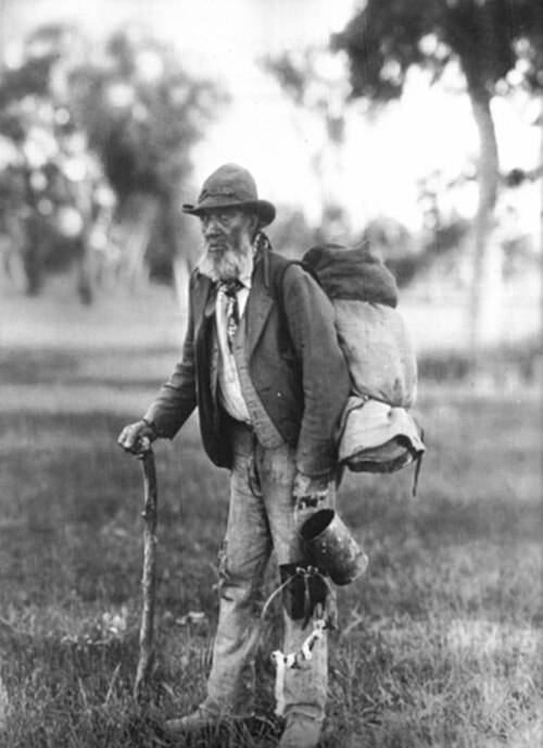 bedroll