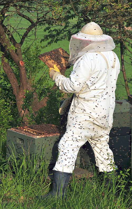 beekeeper