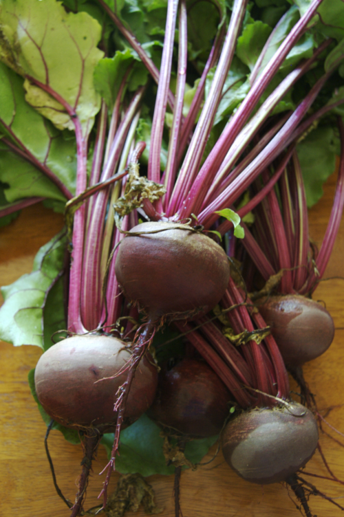 beetroot
