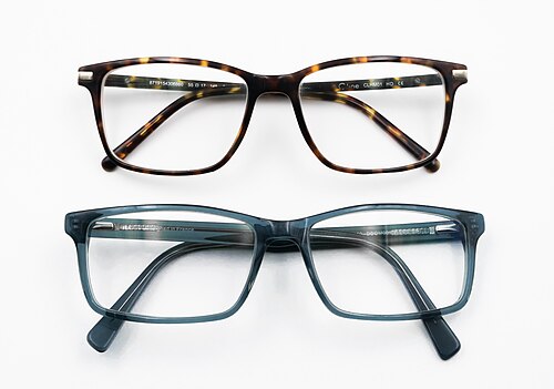 bespectacled