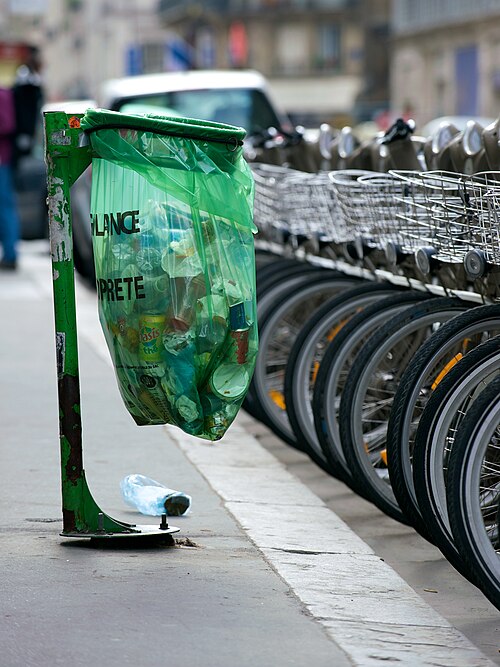 bin bag