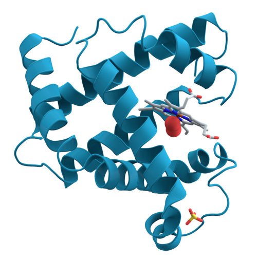 biochemistry