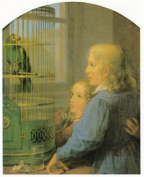 birdcage