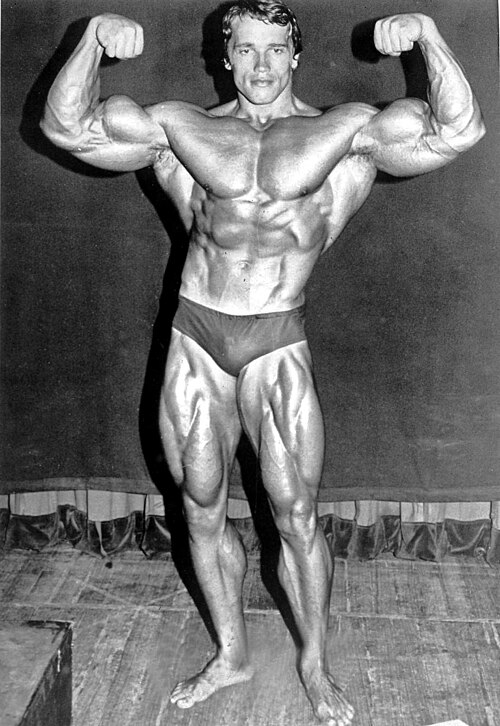 bodybuilding
