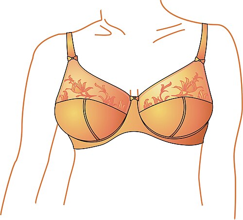 bra