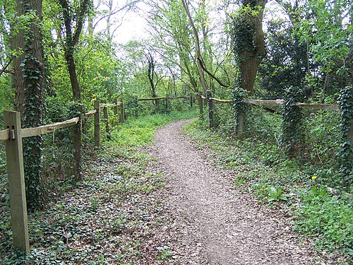 bridle path