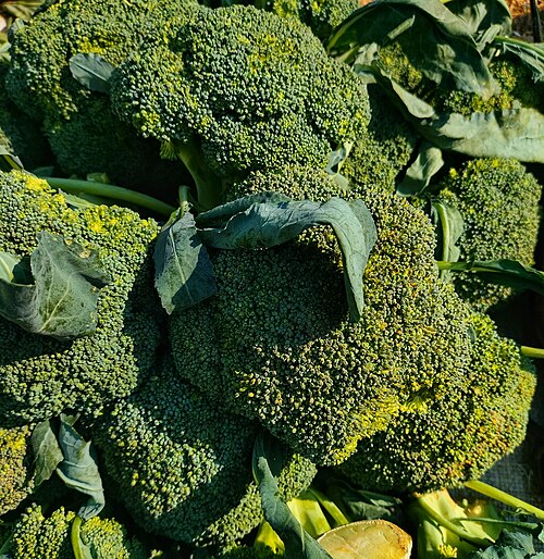 broccoli