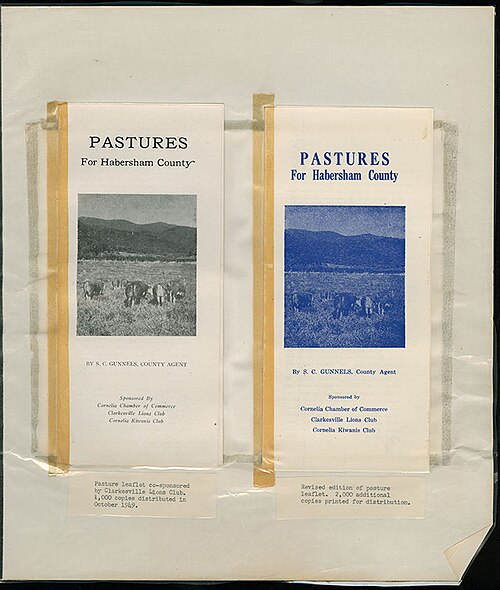 brochure