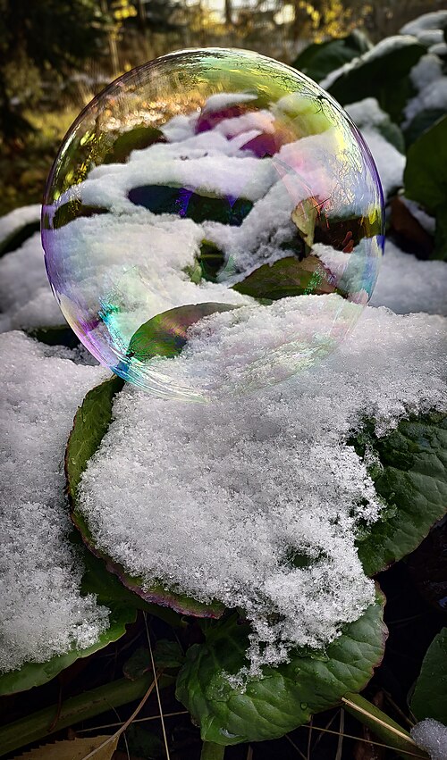 bubble