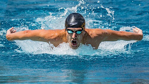 butterfly stroke