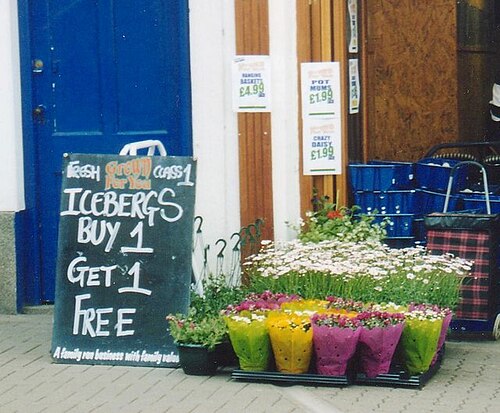 buy one get one free
