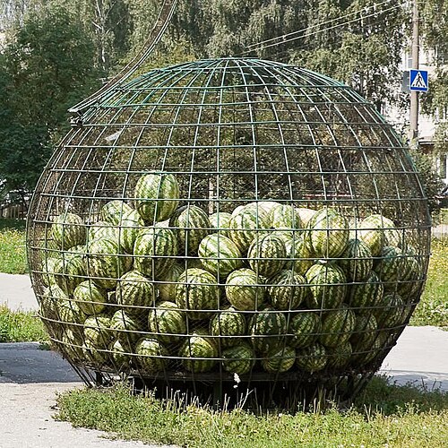 cage