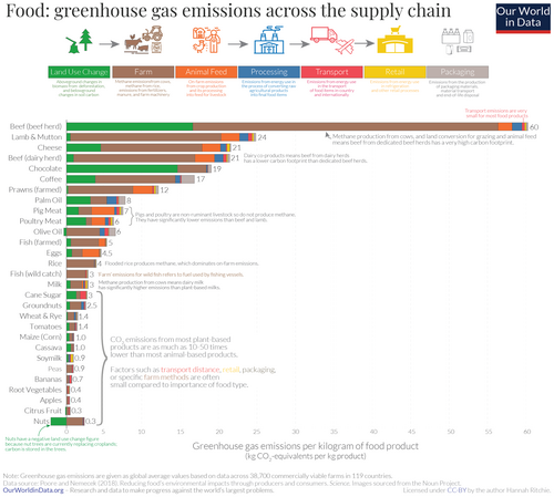 carbon footprint