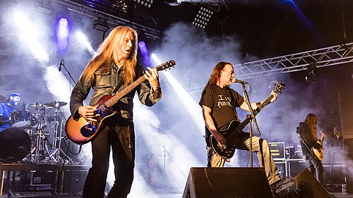 carcass
