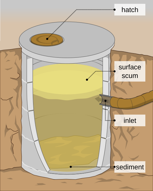 cesspit