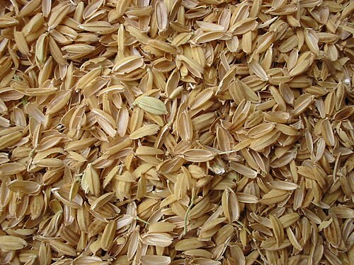 chaff