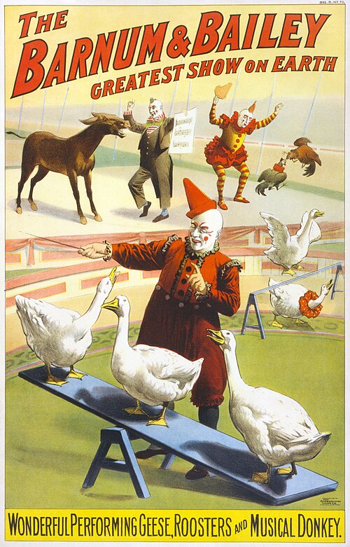 circus
