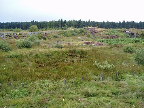 clearing
