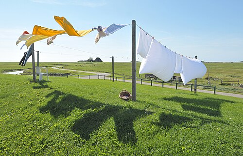 clothesline