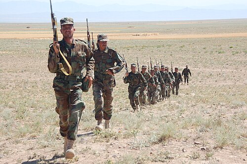 combatant