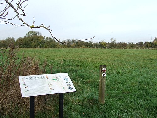 common land