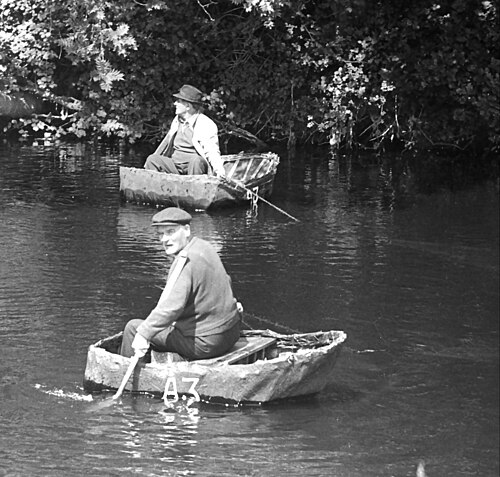 coracle