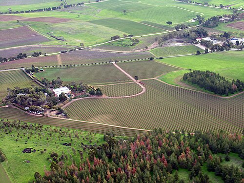 countryside