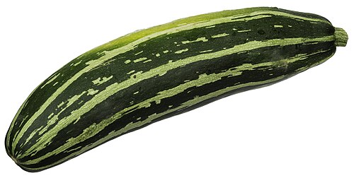 courgette
