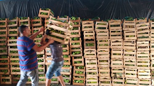 crate