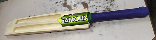 cricket bat