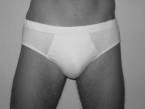 crotch
