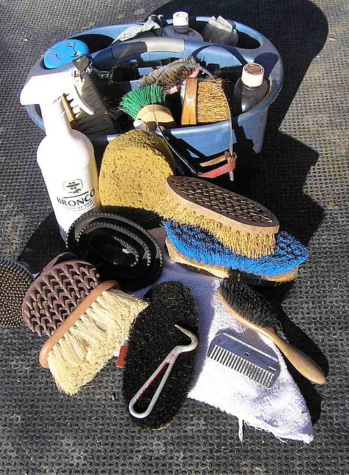 currycomb