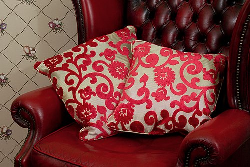 cushion