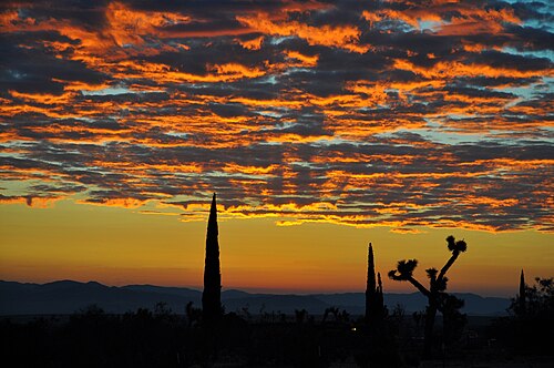 dawn