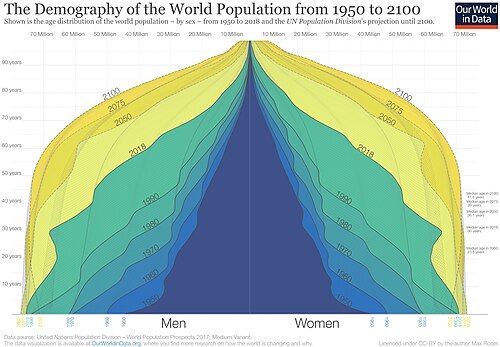 demographic