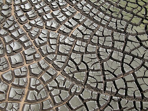 desiccated