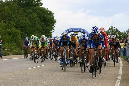 domestique
