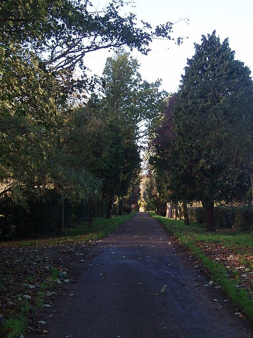 driveway